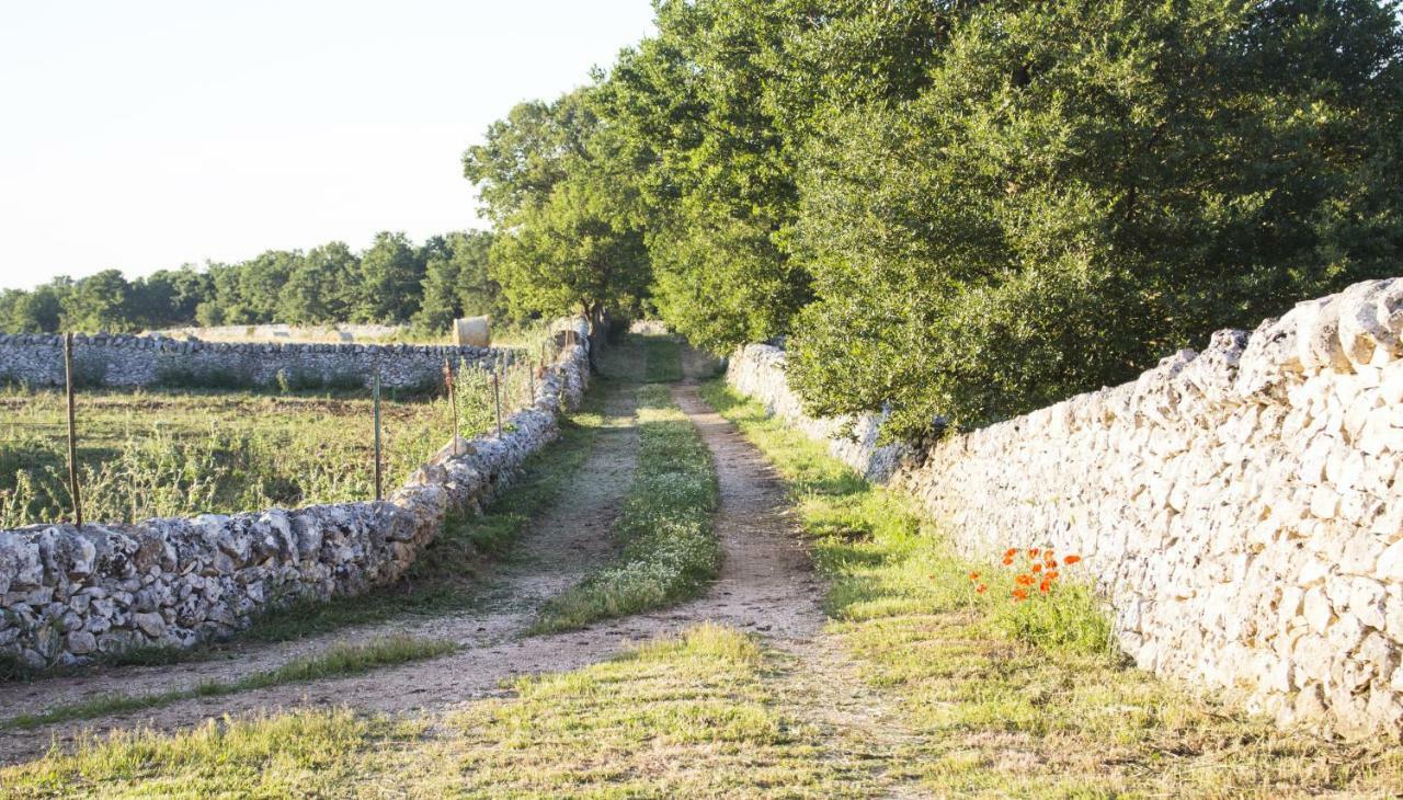 Trulli Sul Vignale In Masseria Santalachicca مارتينا فرانكا المظهر الخارجي الصورة