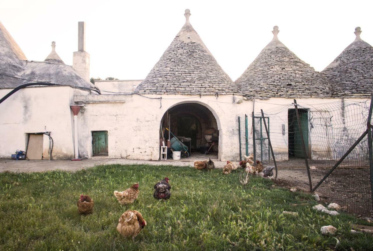 Trulli Sul Vignale In Masseria Santalachicca مارتينا فرانكا المظهر الخارجي الصورة